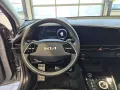 Kia e-Niro Inspiration (64,8kWh) Pano-LED-Sitzhzg