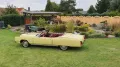 Cadillac Eldorado Convertible