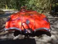 Corvette C1