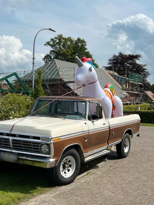 Ford F 250 Camper aus Kalifornien V8 390er