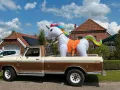 Ford F 250 Camper aus Kalifornien V8 390er