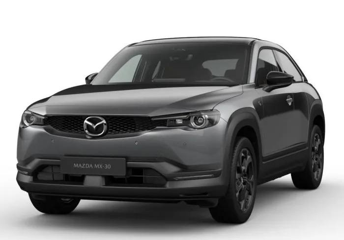 Mazda MX-30 REV+NAGISA+LEDER+MATRIX+BOSE+KAMERA+AKTION