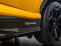 Lamborghini Urus Performante - MY24 - Full Carbon- PPF