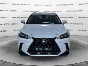 Lexus NX Plug-in Premium+ AWD