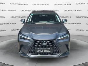 Lexus NX Plug-in Premium+ 4WD