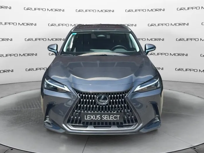 Lexus NX Plug-in Premium+ 4WD