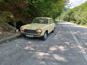 Peugeot 204