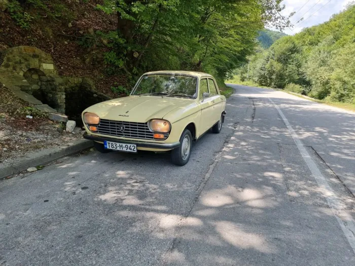 Peugeot 204