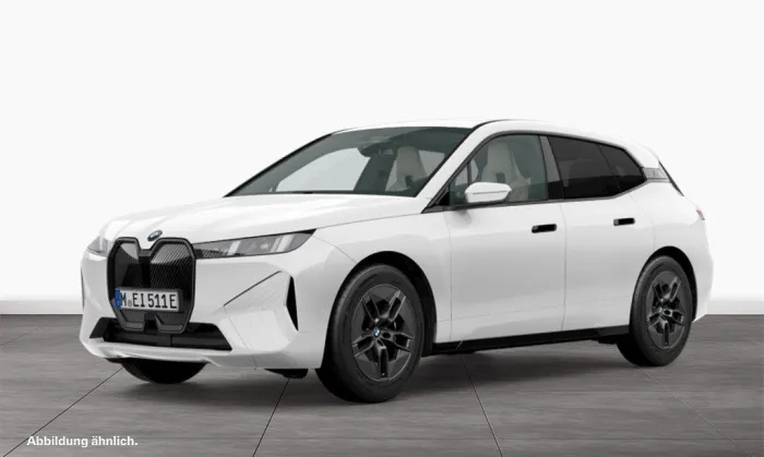 BMW iX xDrive45 AHK Driv.Assist.Prof Harman/K LED