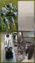 BMW E36 328i Cabrio restauriert mit H Abna...