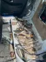 Audi V8, 4.2, Projekt, Tuning, BBS