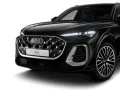 Audi SQ5 TFSI Q LM21 PANO PRIVACY LUFT