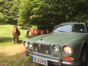 Jaguar XJ6 S1 mit toller Ausstattung in Top Zustand
