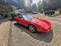 Corvette C4 TARGA 5.7 H-Zulassung