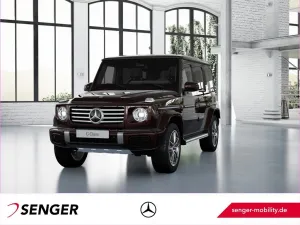 Mercedes-Benz G 450 d AMG Exclusive Distronic Burmester 360°K.