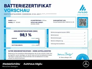 Smart #1 Pulse ALLRAD 66kWh Pano HeadUp Memory Keyless