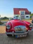 MGA