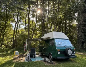 Volkswagen LT 31 D