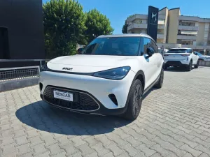 Other Smart #1 Launch Edition Batteria 66kWh Carica 22