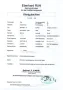 Austin Rover Mini MK II BJ 1989 - restauriert