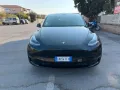 Tesla Model Y AWD Performance