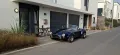Cobra Andere