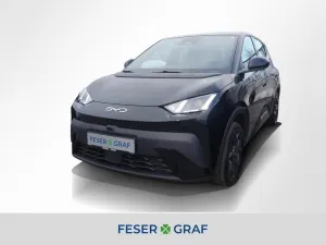 BYD Dolphin Surf 65 kW Boost ACC Klima Navi RüKa 16