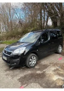 Peugeot TePee