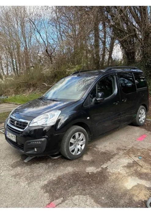 Peugeot TePee