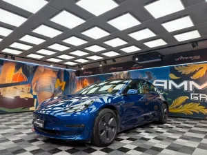 Tesla Model 3 Long Range Dual Motor AWD (369)