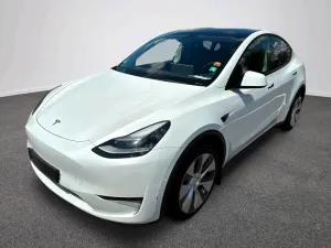 Tesla Model Y Long Range AWD - Autopilot - Pano - AHK