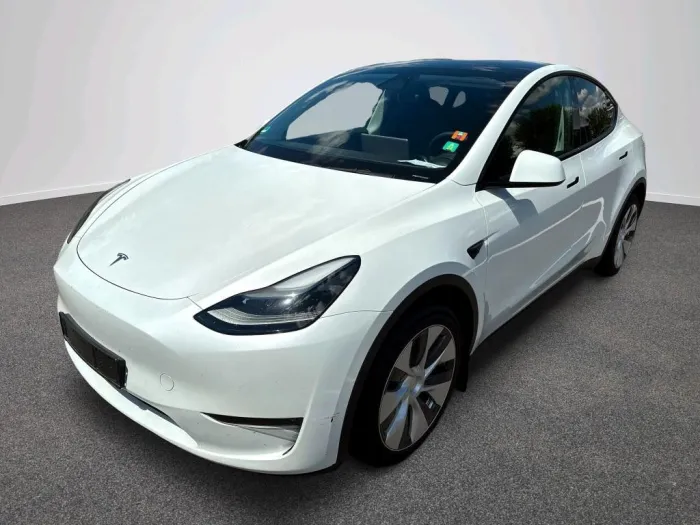 Tesla Model Y Long Range AWD - Autopilot - Pano - AHK
