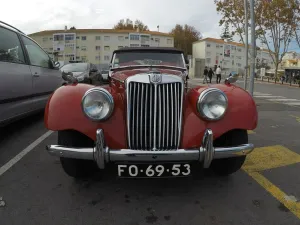 MG TF