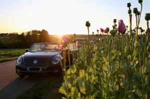 Volkswagen Beetle 1.6 TDI Design BMT Cabriolet Design B...