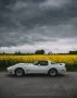 Corvette C3 Targa