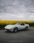 Corvette C3 Targa