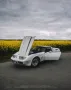 Corvette C3 Targa