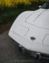 Corvette C3 Targa