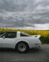 Corvette C3 Targa