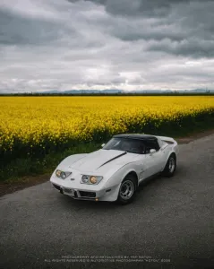 Corvette C3 Targa