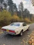 Ford Mercury Cougar 1968 302 2v