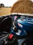 Ford Mercury Cougar 1968 302 2v