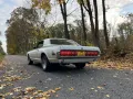 Ford Mercury Cougar 1968 302 2v