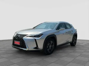 Other LEXUS Other UX UX Hybrid Urban