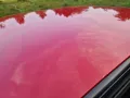 Alfa Romeo 164 3.0 V6 12v 1991