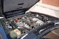 Jaguar XJS V12 Coupe Traumzustand rostfrei Service 2026