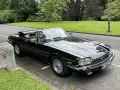 Jaguar XJS