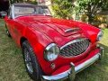 Austin Healey 3000 MK1 2+2 (BT7)