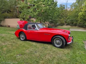 Austin Healey 3000 MK1 2+2 (BT7)