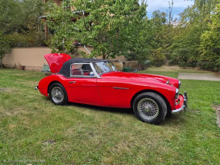 Austin Healey 3000 MK1 2+2 (BT7)
